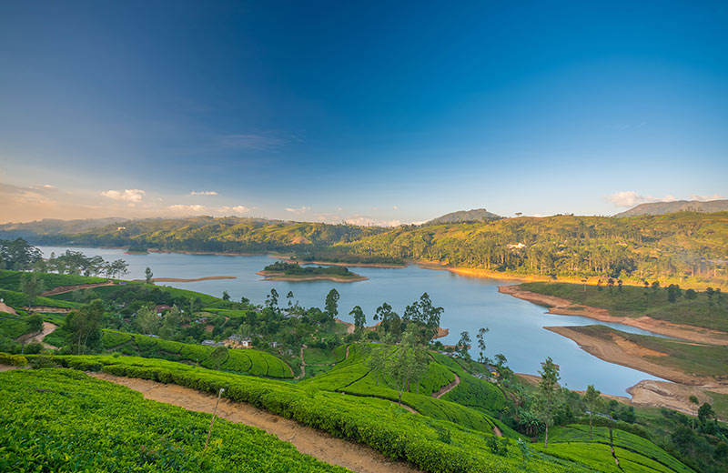 The Most Trusted Private Tour Guides in Sri Lanka: A Guide