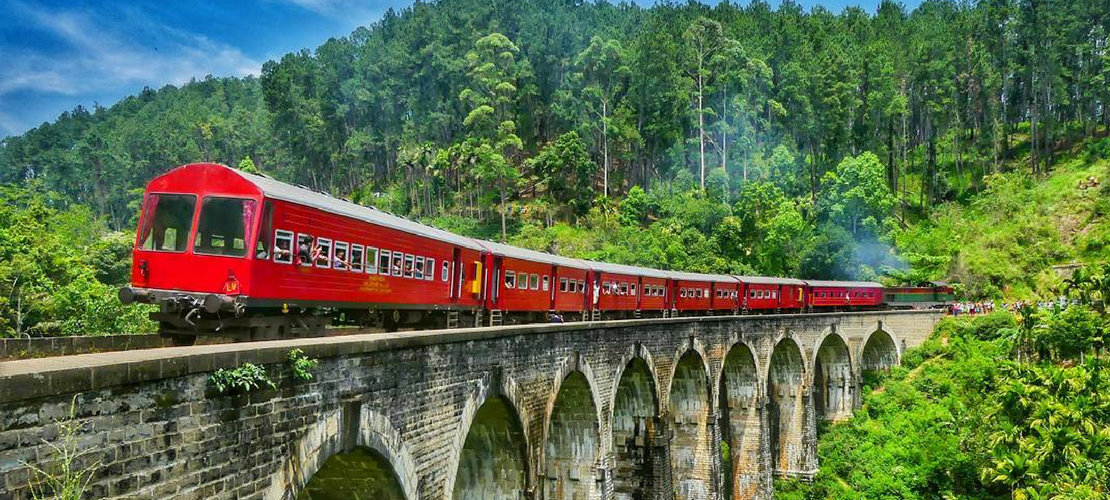 Explore Sri Lanka’s Hidden Gems with a Private Tour Guide